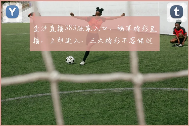 金沙直播383独家入口，畅享精彩直播，立即进入，三大精彩不容错过，速来体验