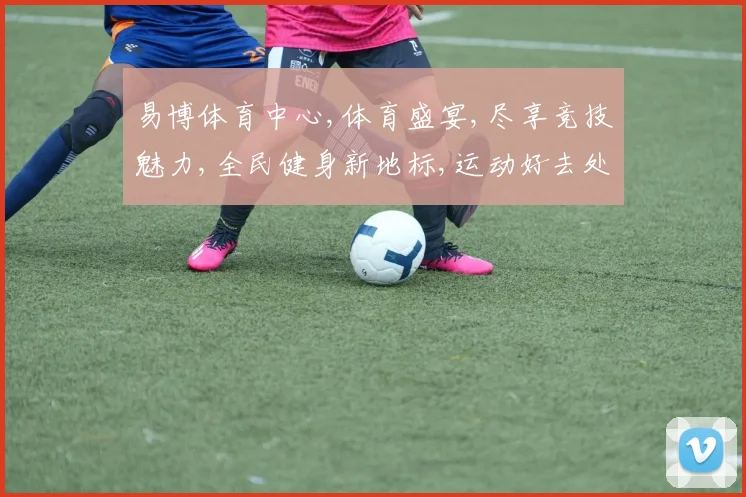 易博体育中心,体育盛宴,尽享竞技魅力,全民健身新地标,运动好去处,一网打尽