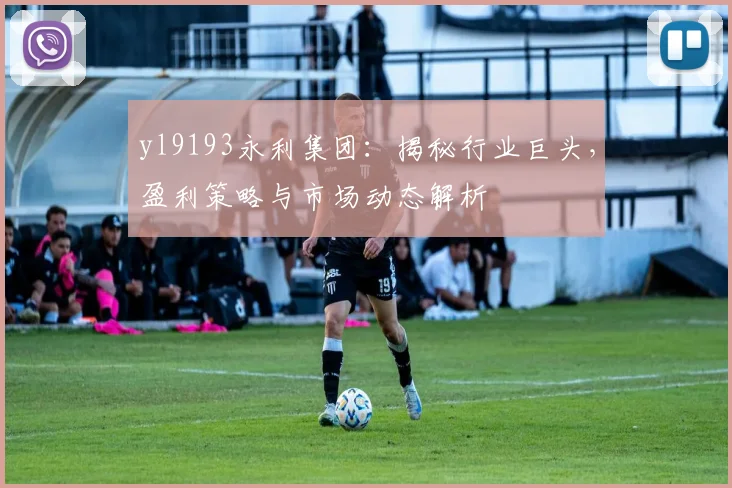yl9193永利集团：揭秘行业巨头，盈利策略与市场动态解析