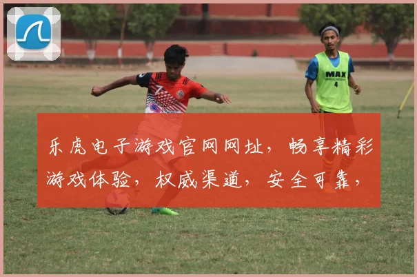 乐虎电子游戏官网网址，畅享精彩游戏体验，权威渠道，安全可靠，不容错过