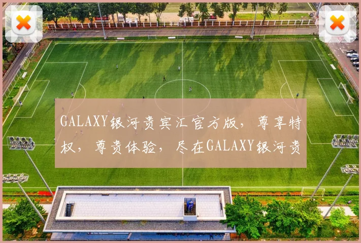 GALAXY银河贵宾汇官方版，尊享特权，尊贵体验，尽在GALAXY银河贵为，尊享非凡。