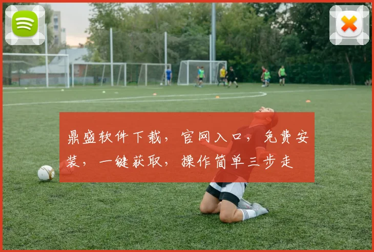 鼎盛软件下载，官网入口，免费安装，一键获取，操作简单三步走