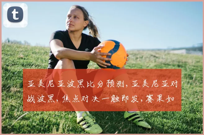 亚美尼亚波黑比分预测,亚美尼亚对战波黑,焦点对决一触即发,赛果如何