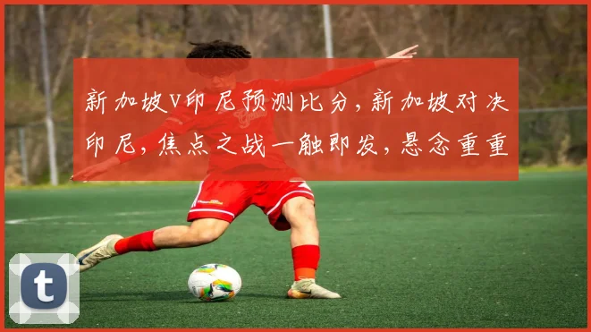 新加坡v印尼预测比分,新加坡对决印尼,焦点之战一触即发,悬念重重