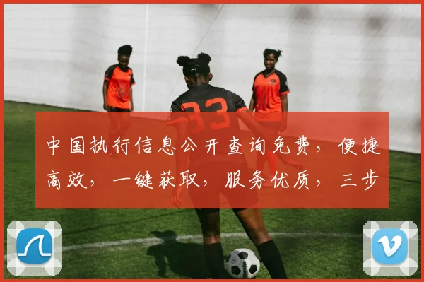 中国执行信息公开查询免费，便捷高效，一键获取，服务优质，三步搞定。